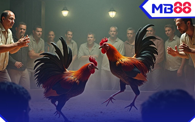 MB88 game đá gà online với tỷ lệ trả thưởng hấp dẫn